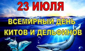 День защиты китов и дельфинов. День защиты китов и дельфинов.